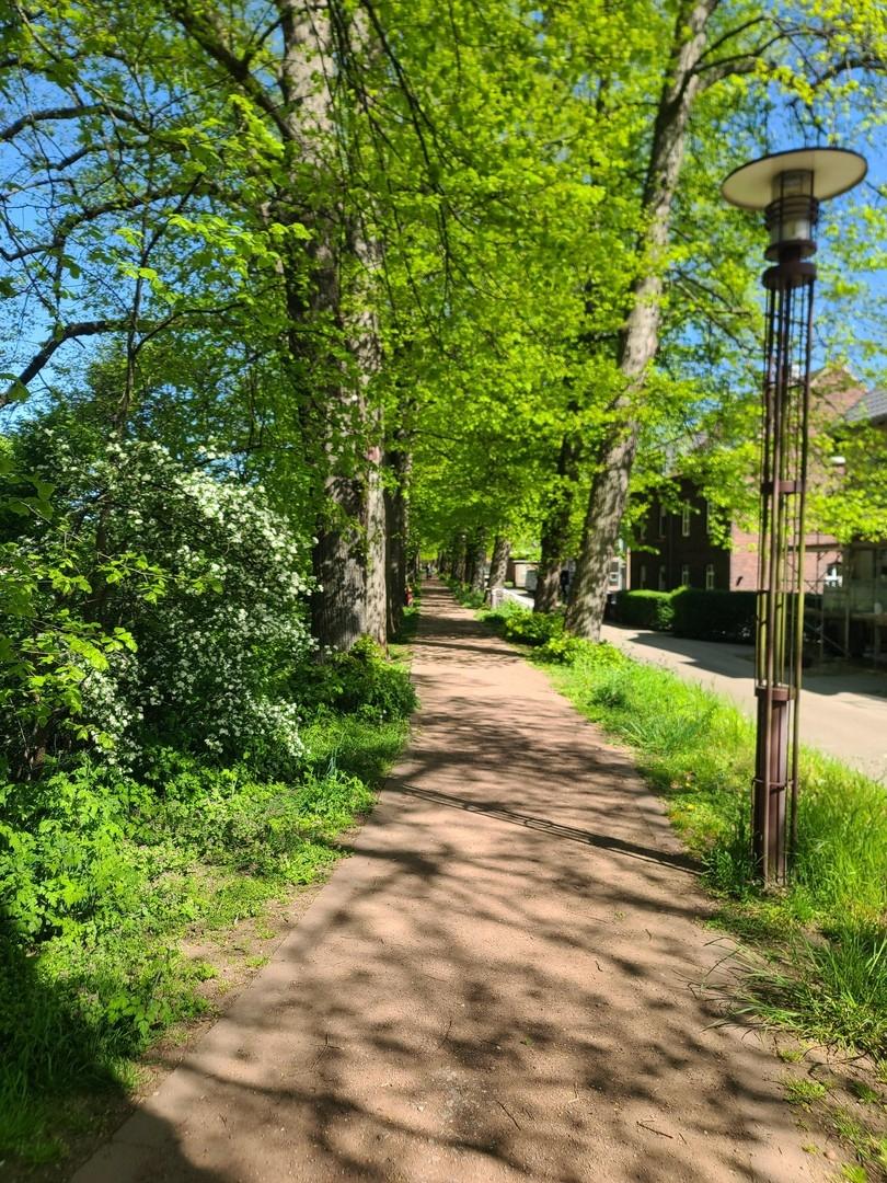Wallrundweg 2 Frühling