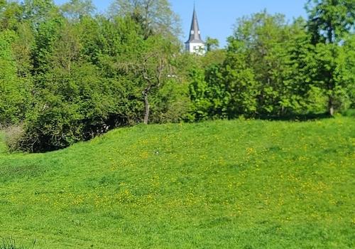 Weg um Orsoy Frühling