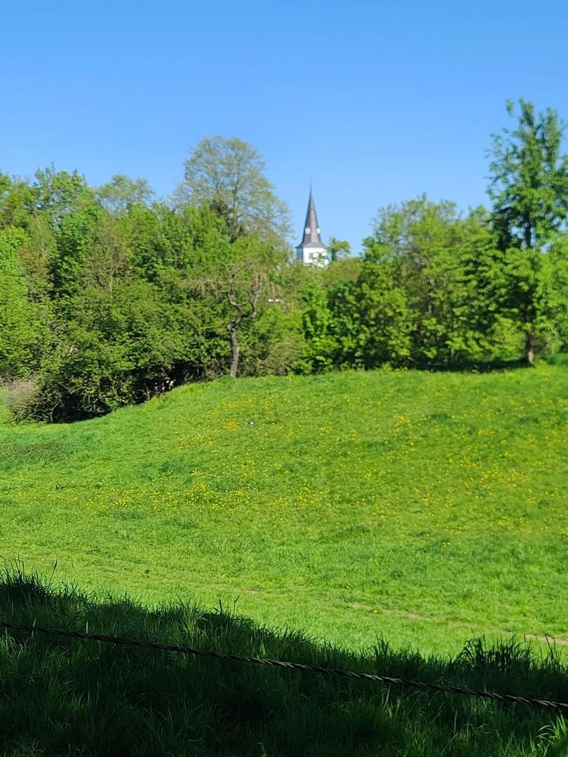 Weg um Orsoy Frühling