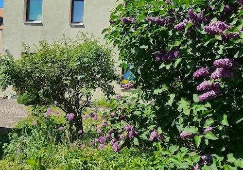 Gartenansicht