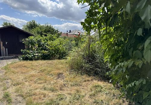Garten auf der Rückseite