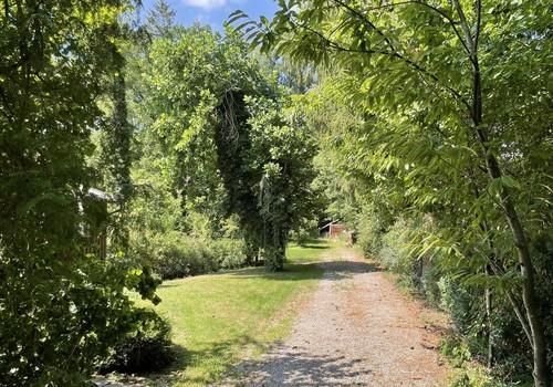 Gartenblick von Einfahrt