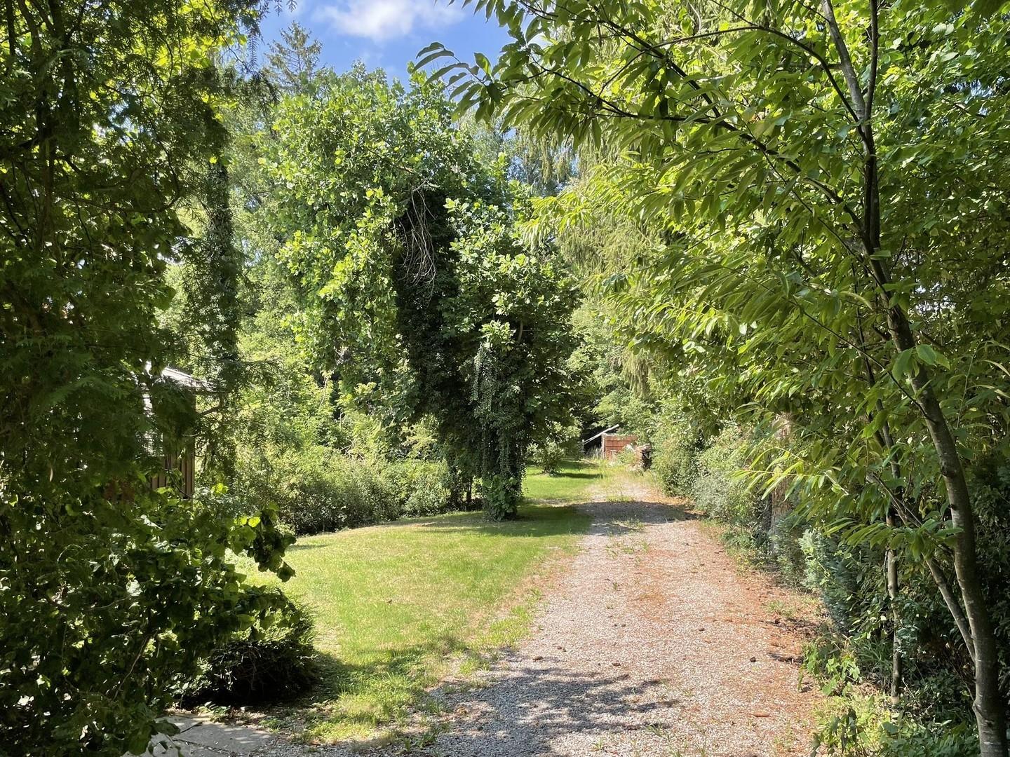 Gartenblick von Einfahrt