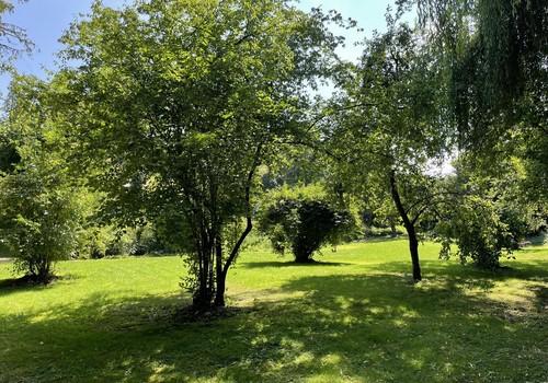 Gartenblick von Nordwest