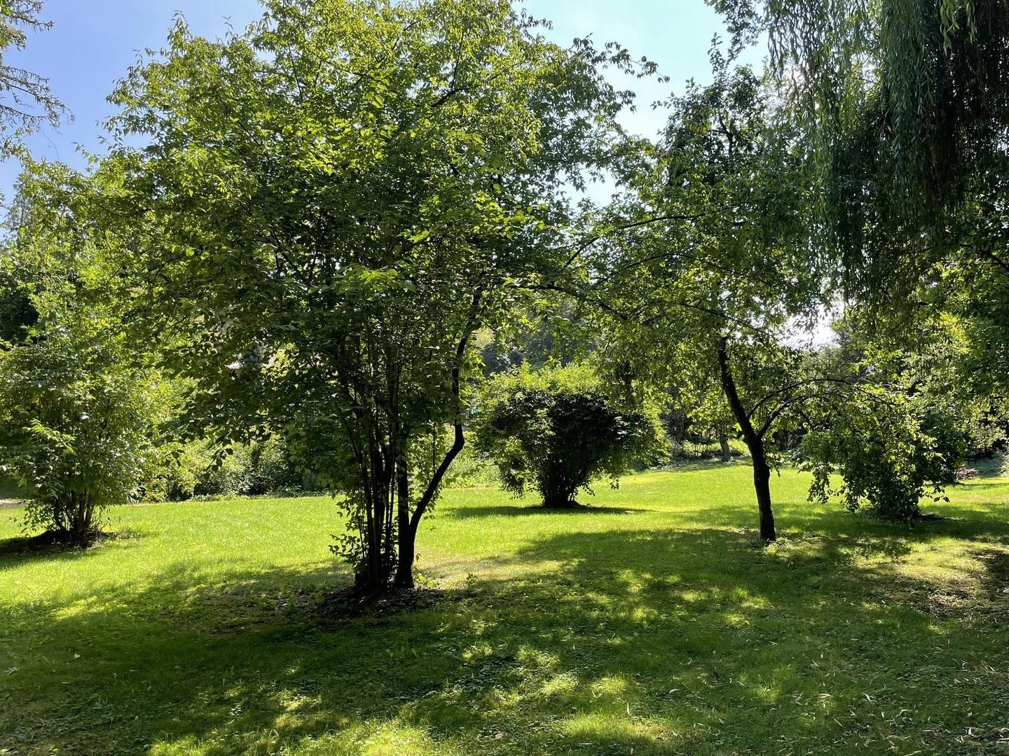 Gartenblick von Nordwest