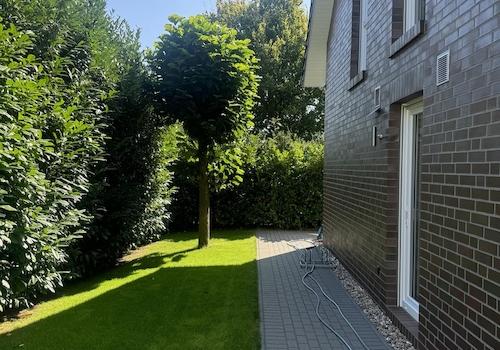 Hinterer Gartenbereich