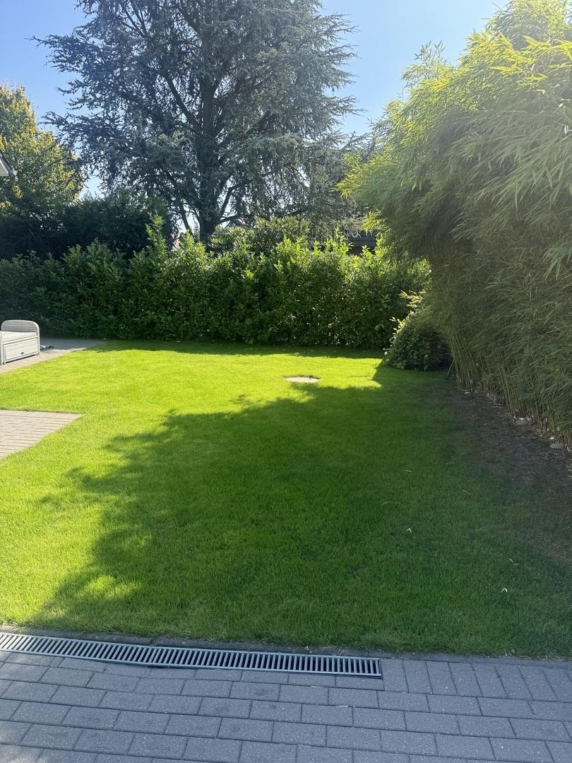 Garten Westseite
