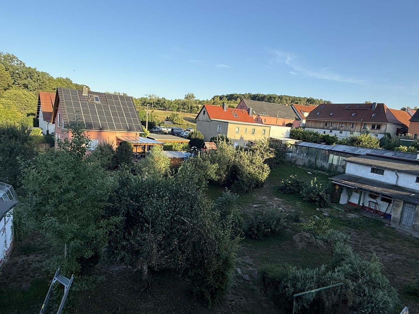Blick aus Wohnung in Garten