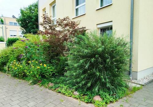 Vorgarten
