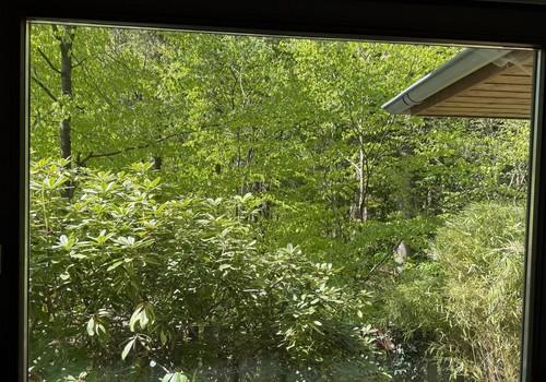 Blick aus dem Küchenfenster