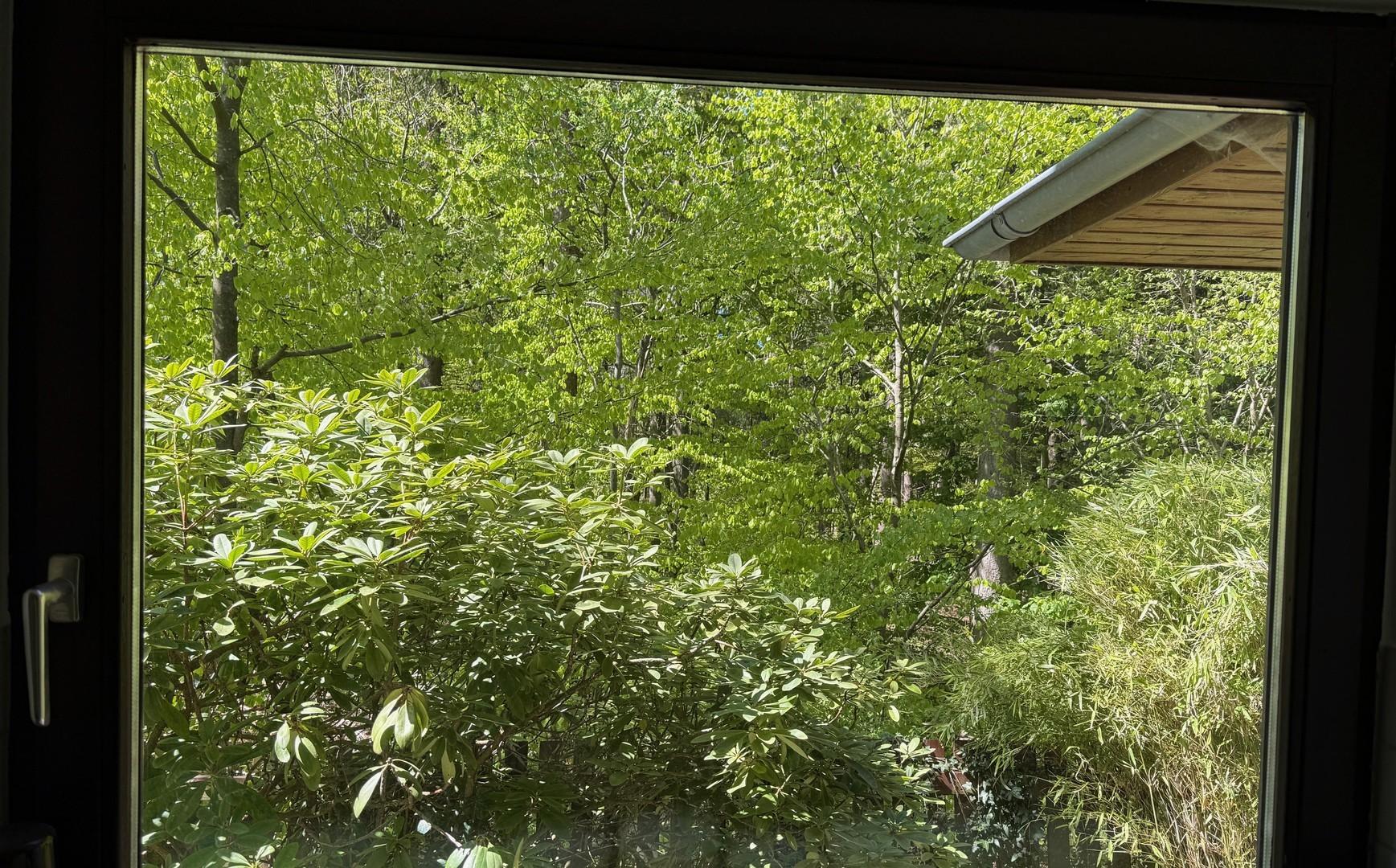 Blick aus dem Küchenfenster