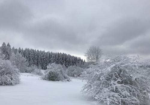 Winter, 15 Minuten zu Fuß