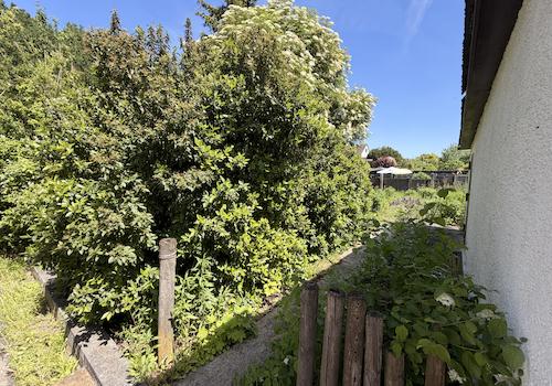 Garten neben Garage