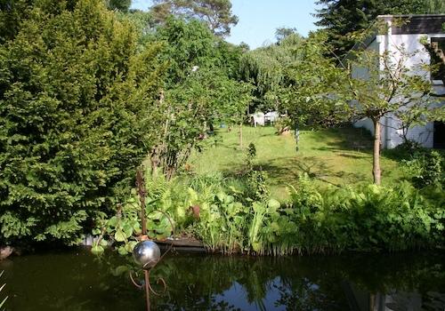 Garten Teich Bungalow 2
