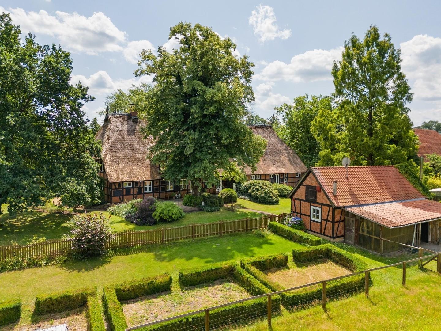 Gemüsegarten