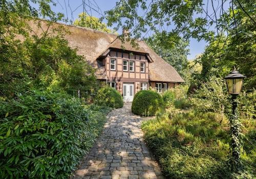 Blick im Vorgarten 