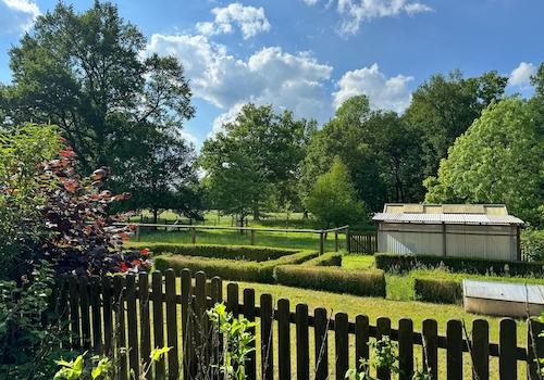 Gemüsegarten