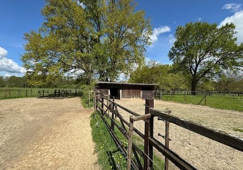 Paddocks für Pferde