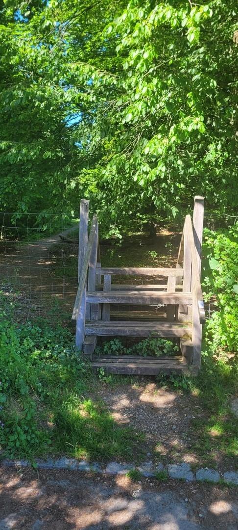 Zugang zum Ebersberger Forst.