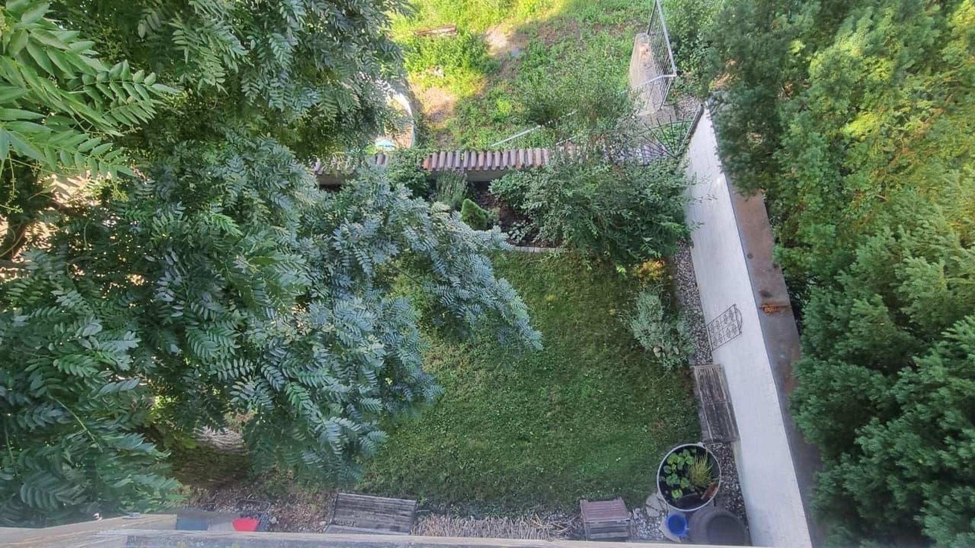 kleiner Bereich des Gartens