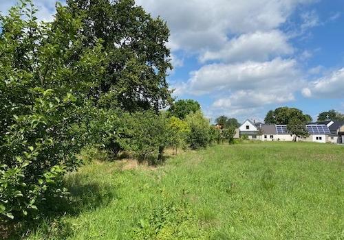 Obstwiese 