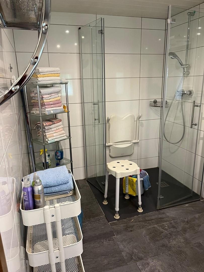 Ebenerdige Dusche EG