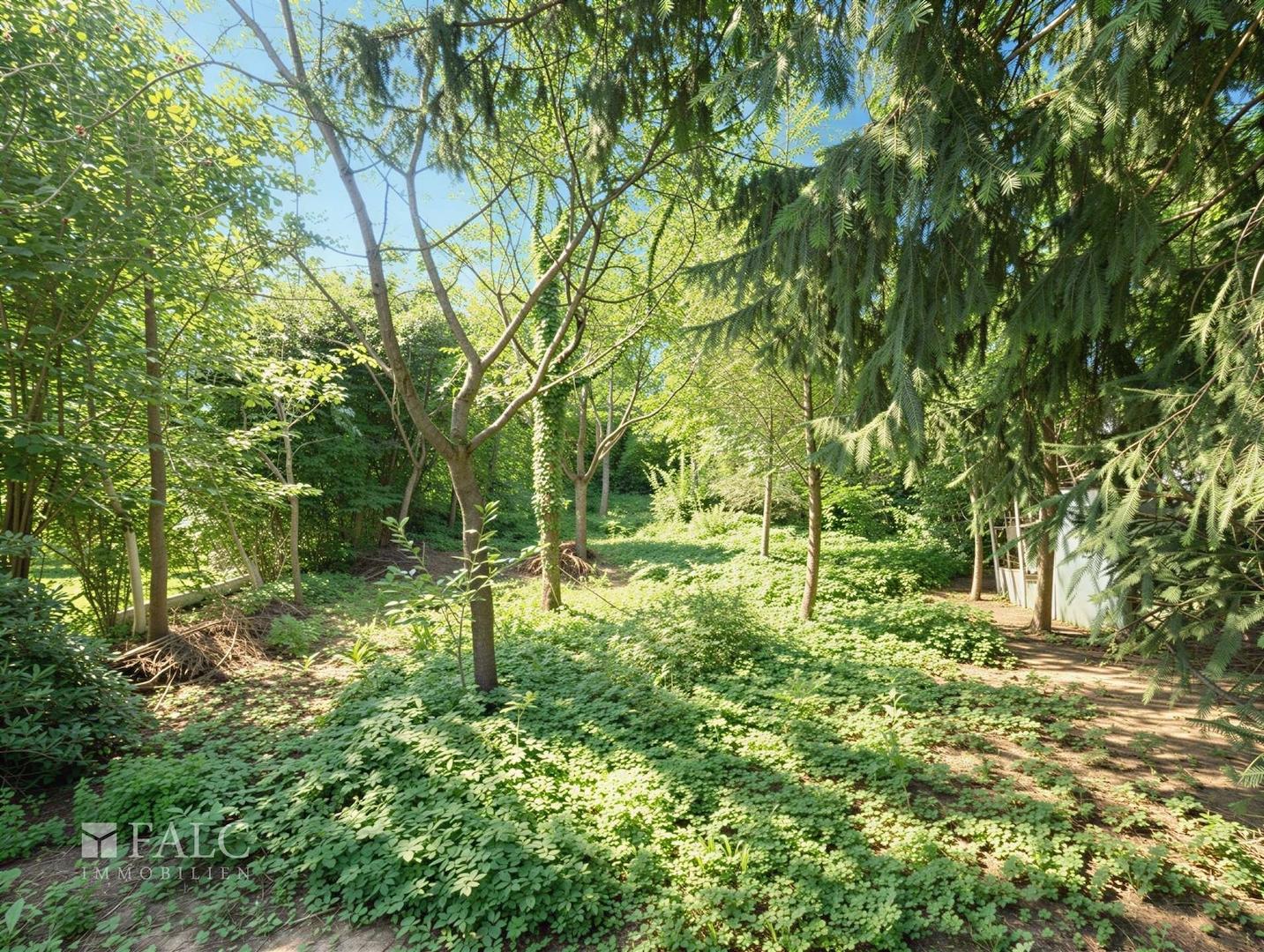 Garten - (KI generiert)