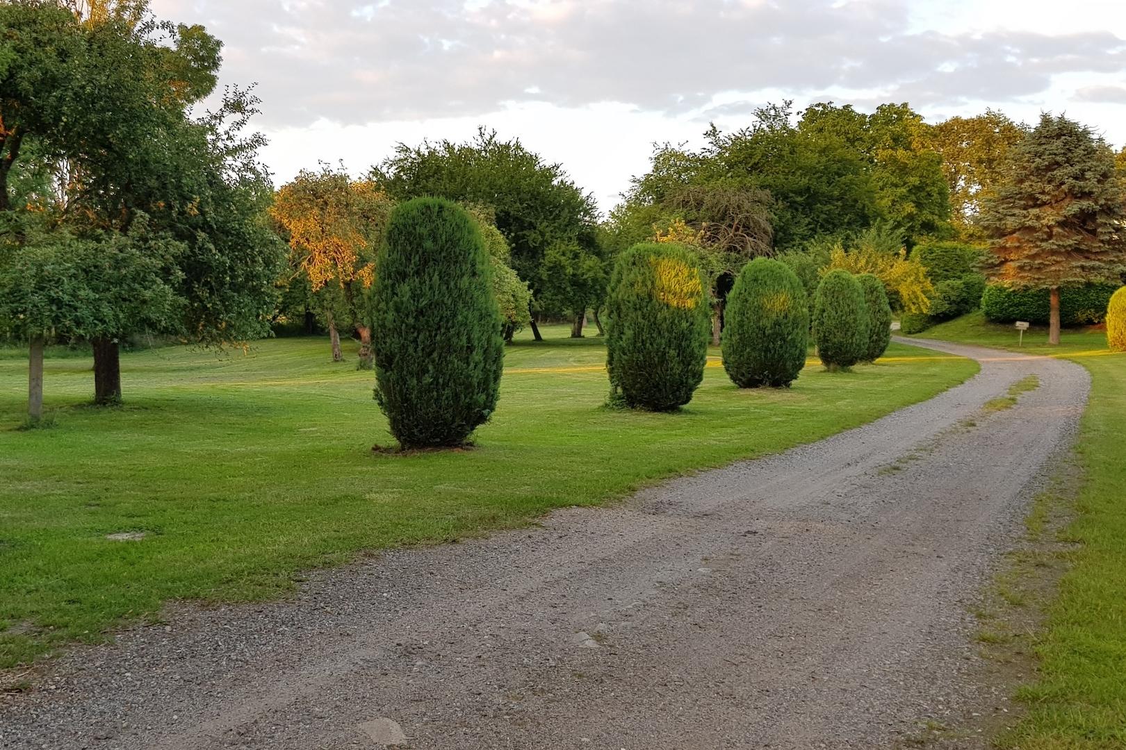Ihre Allee