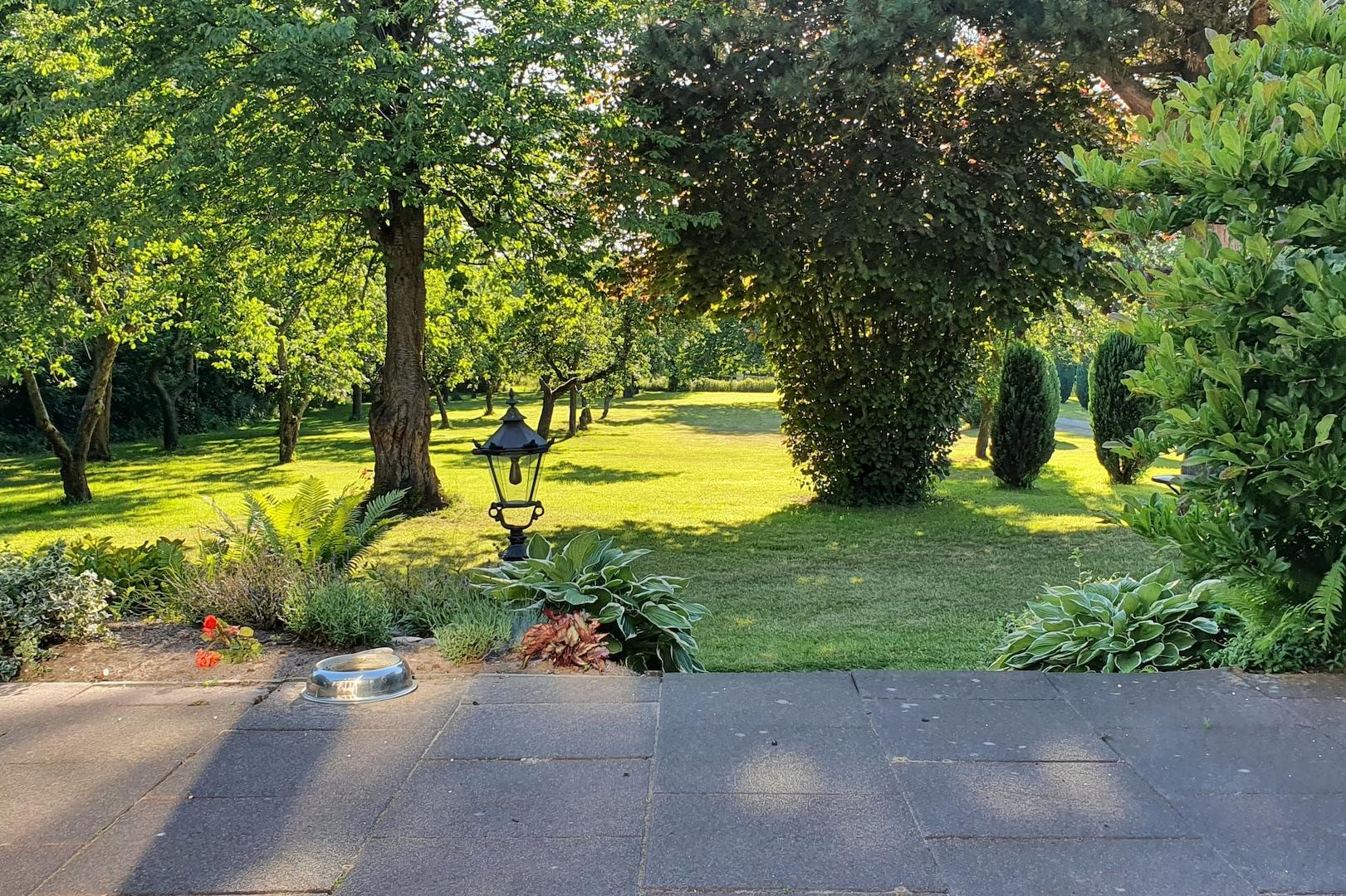 Blick von der Terrasse