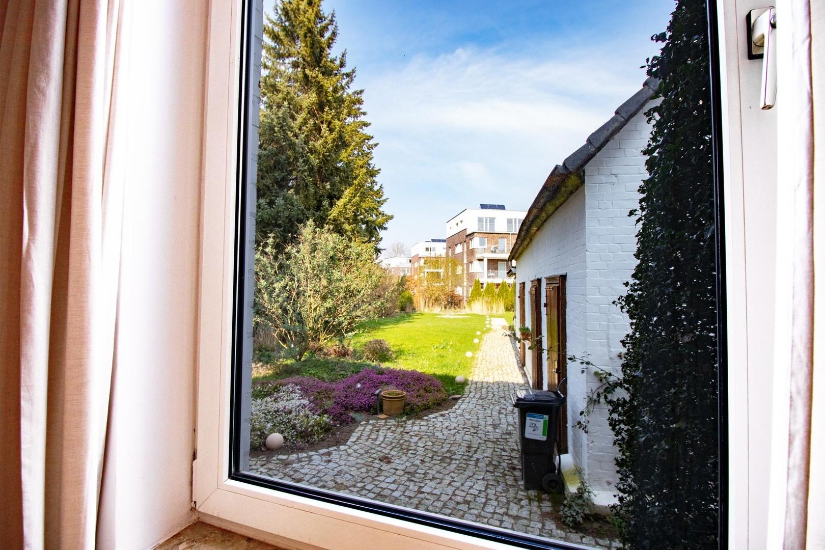 Blick von der Küche zum Garten