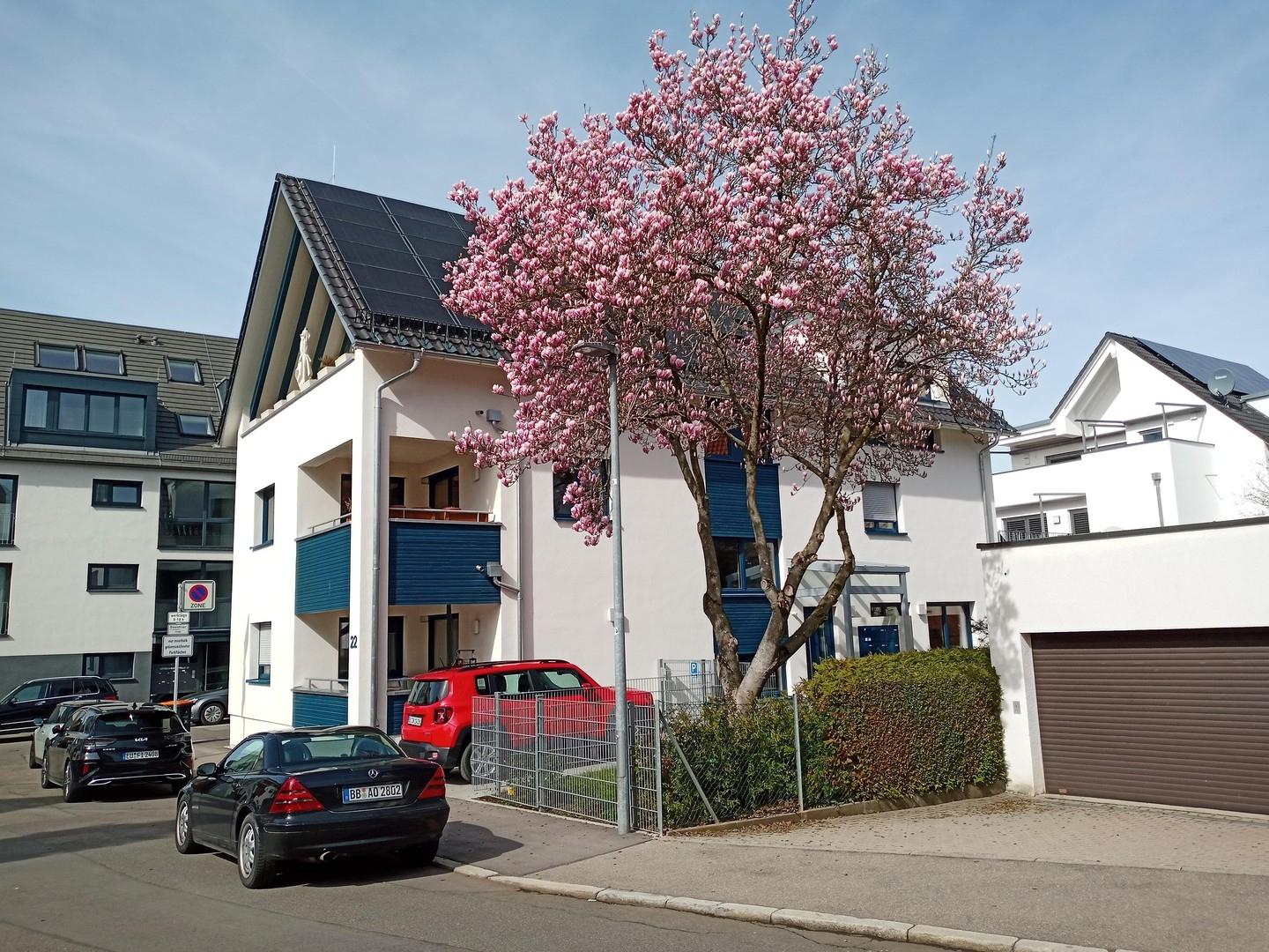 Garten + Eingang