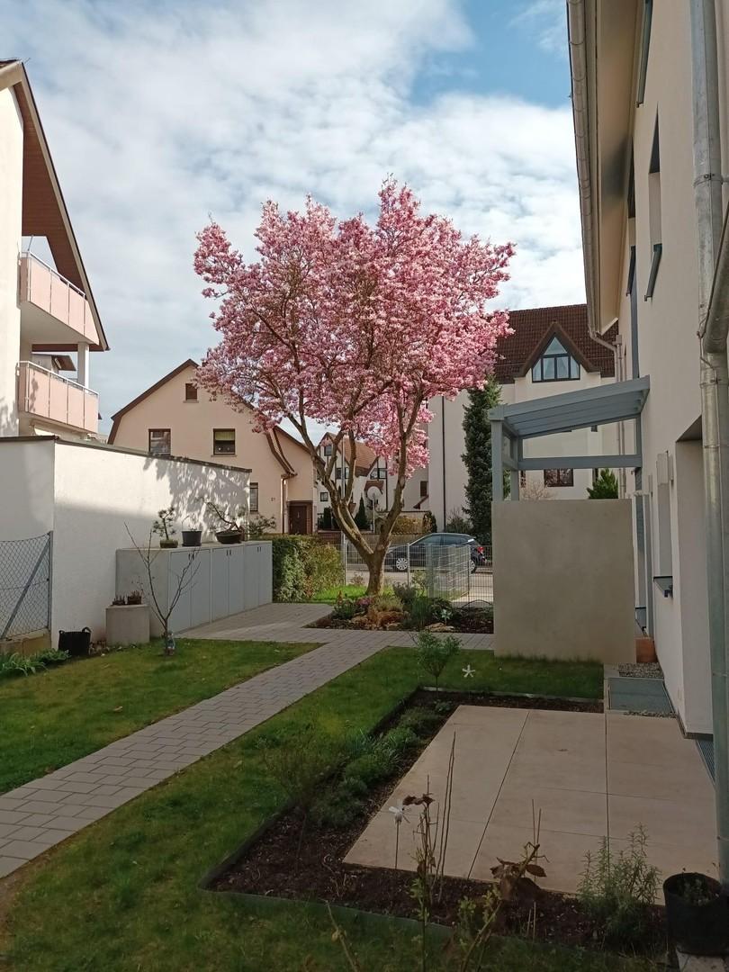 Terrasse W2 im Garten