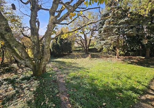 Blick in den Garten