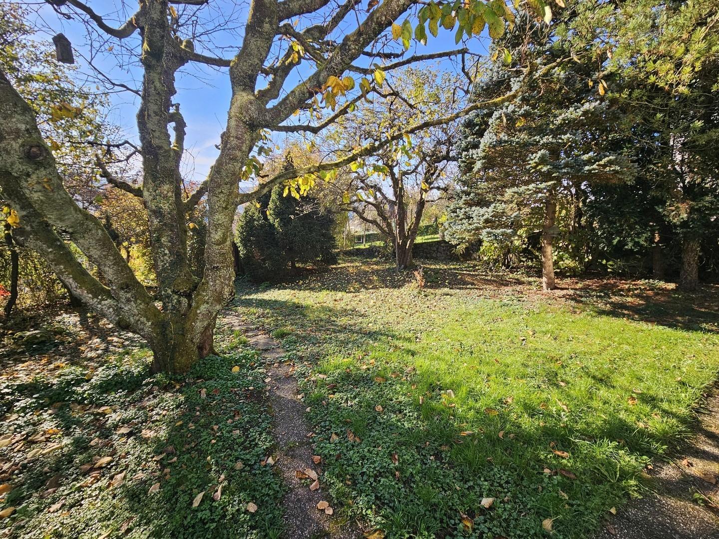 Blick in den Garten