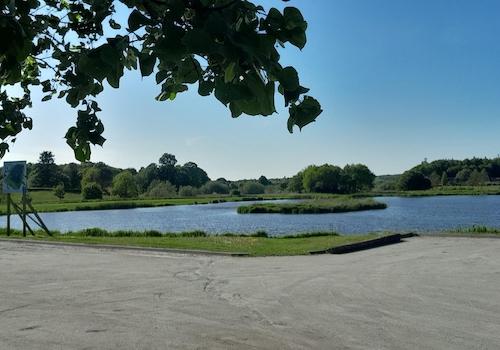 See in Løgumkloster 