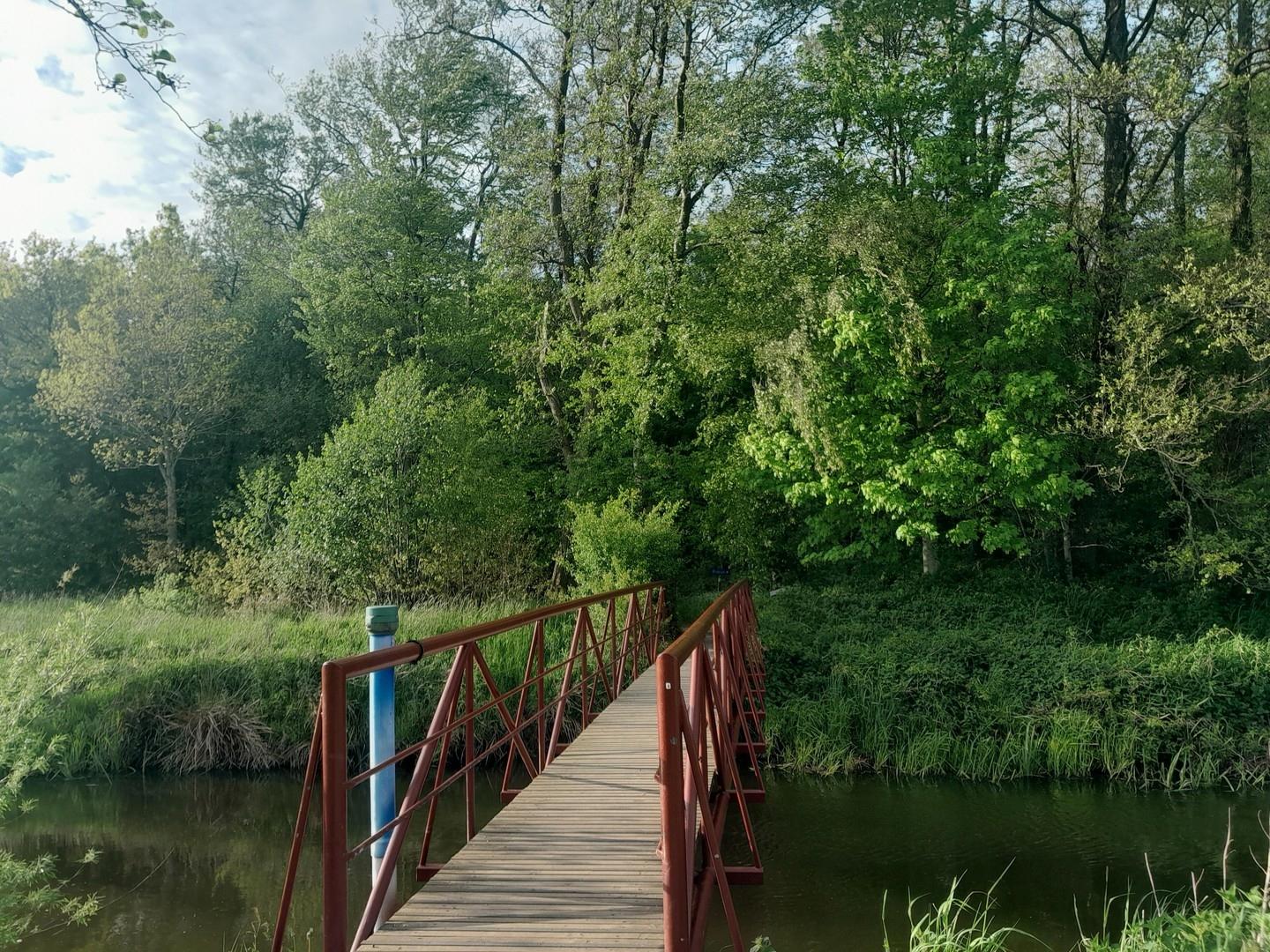 Umgebung Løgumkloster