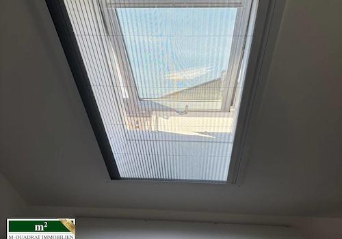 Dachfenster mit Moskitoschutz