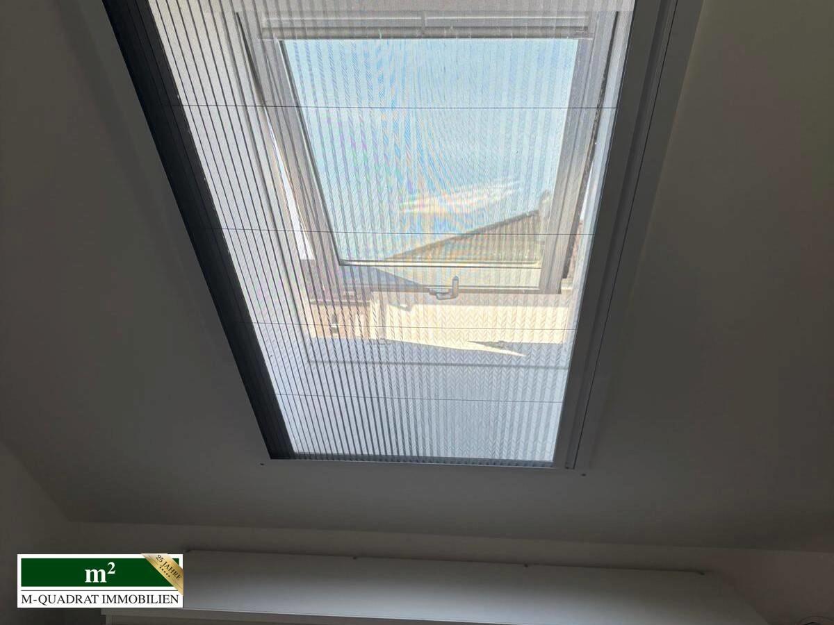 Dachfenster mit Moskitoschutz