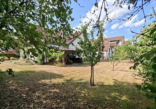 Gartengrundstück