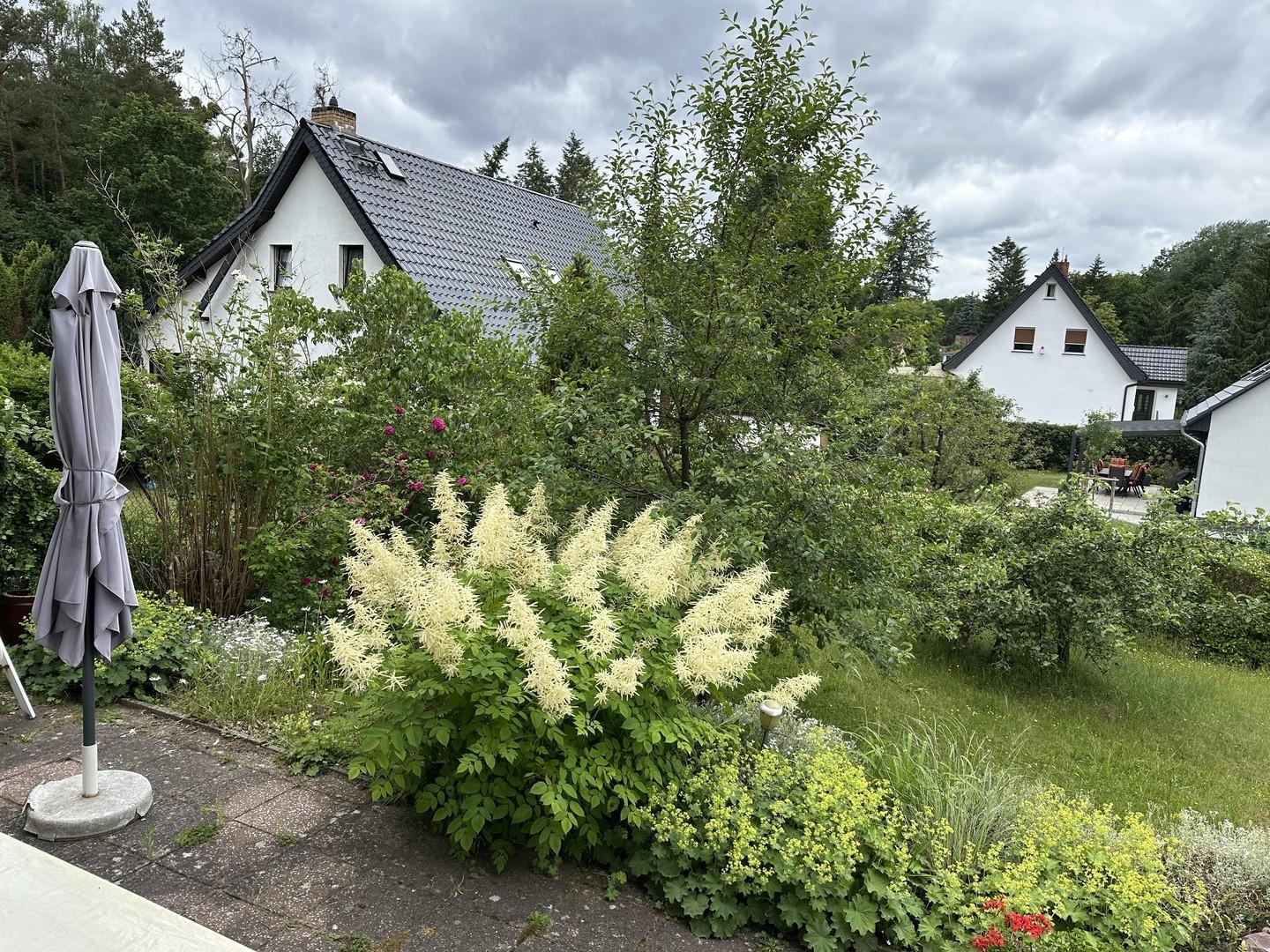 Blick in den Garten