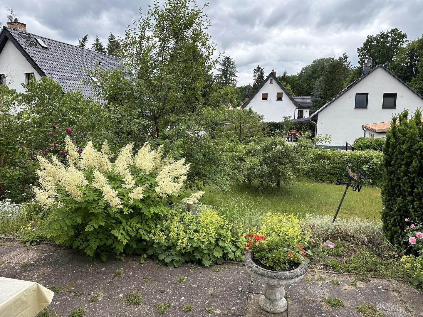 Blick in den Garten 