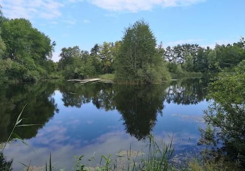 Tonkuhlen Seen 800m entfernt