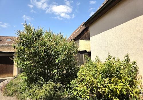 etwas grün ist auch dabei