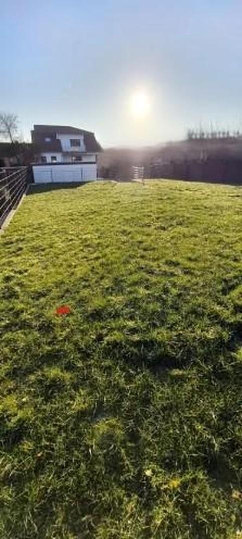 Sonniger Gartenbereich