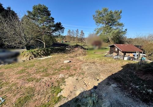 Blick in den Garten