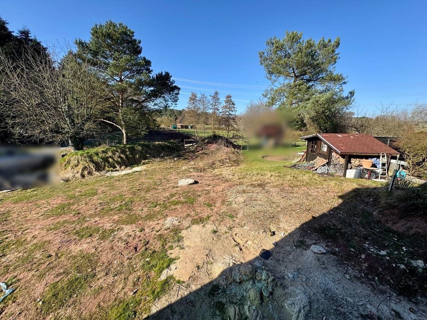 Blick in den Garten
