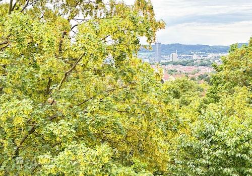 Ausblick vom Balkon