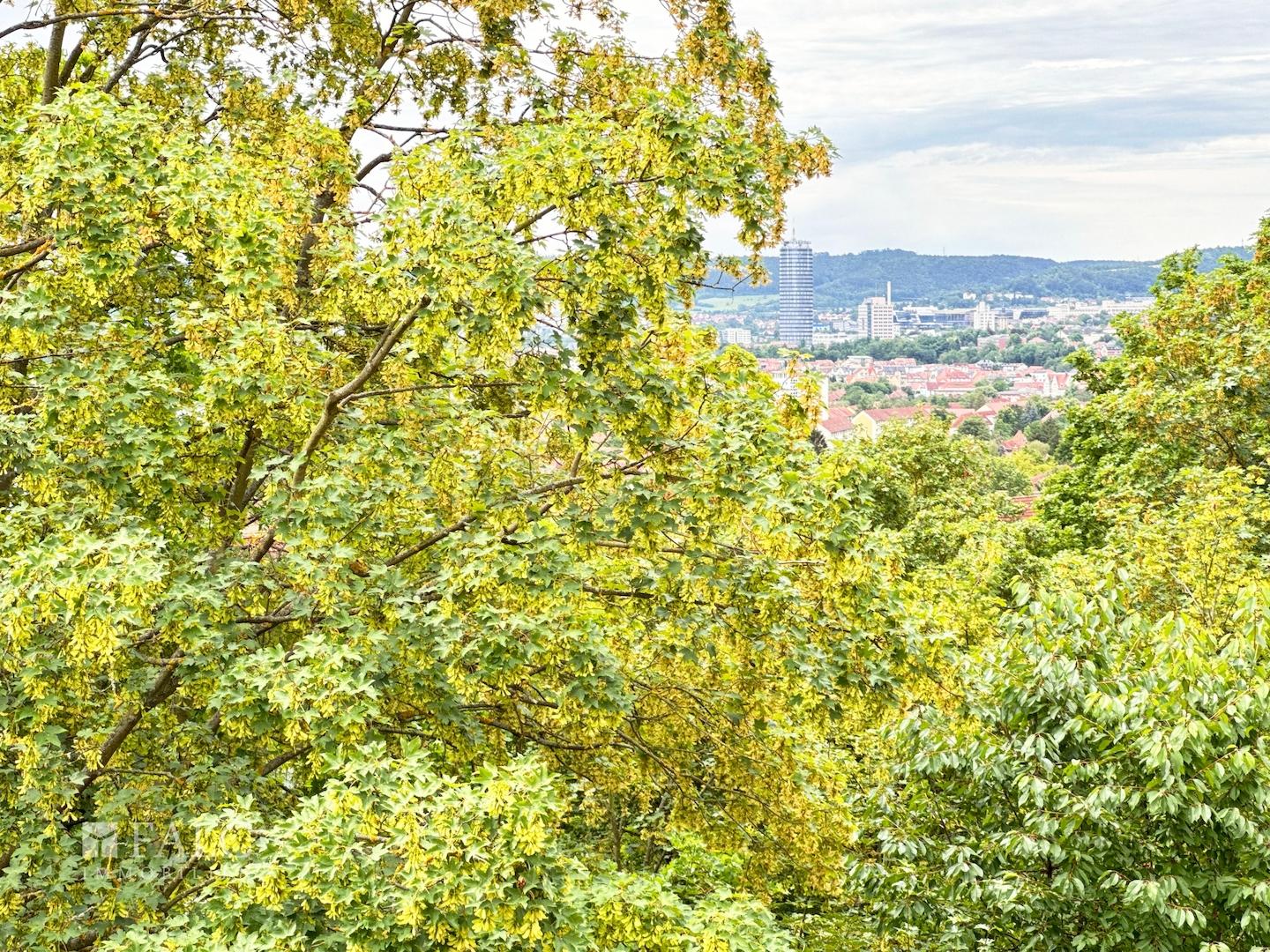 Ausblick vom Balkon