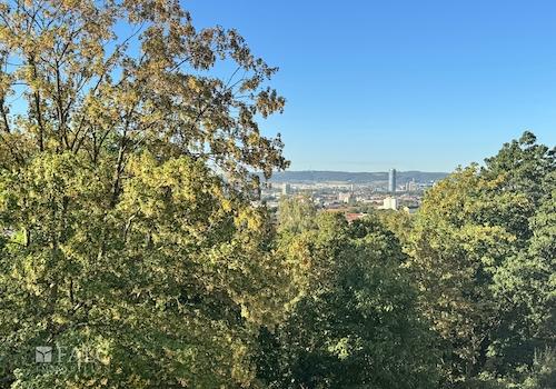 Blick aus dem Schlafzimmer