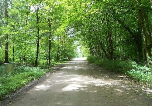 Alter Postweg